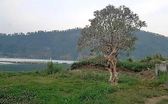 ホテル Batur